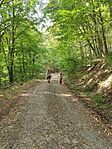 IMG_20230930_104942