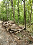 IMG_20230930_105215