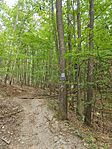 IMG_20230930_105518