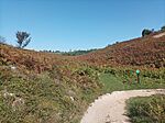 IMG_20231014_123448