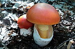IMG_20230817_132611