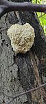 IMG_20231023_120228