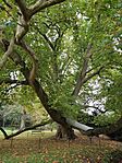 IMG_20231015_131921