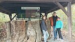 IMG_20231028_134954