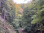 IMG_2428