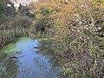 IMG_2509
