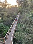 IMG_2511