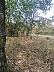IMG_20231009_120418