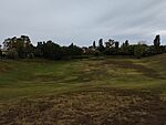 IMG_20231021_142201