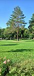park 1.
