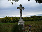 GCCSF10_14 (1)