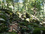 DSCN4970-001