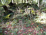 DSCN4971-001