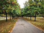 IMG_20231008_131513