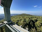 IMG_7303