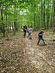IMG_8433