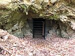 IMG_8397