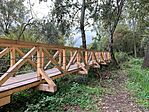 IMG_8538