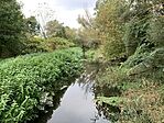 IMG_8522