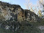 IMG_20231023_155145