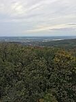 Borongós panoráma