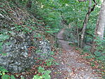 DSC04065