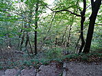 DSC04066