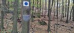 IMG_20231029_151057