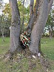 IMG_20231007_173917