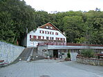 IMG_4315