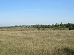 IMG_4768