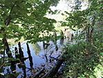 IMG_4792