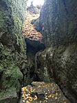 IMG_20231021_104216