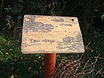 élővilág