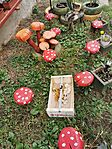 IMG_20231015_125242