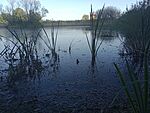IMG_20231005_170001546_MFNR