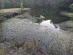 IMG_20231007_174131103_MFNR