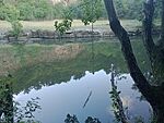 IMG_20231007_174446145_MFNR