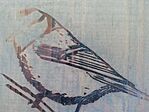 IMG_20231021_104218