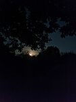IMG_20230929_193922