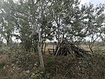 IMG_20231007_094652