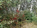 IMG_20231007_100829