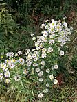 IMG_20231007_101352