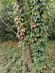 IMG_20231007_101438