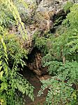 IMG_20231020_142806