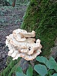 IMG_20231020_100256