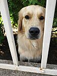 IMG_20231014_120411
