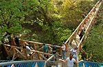 IMG_4631_1