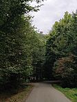 kilátó