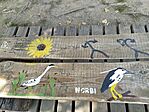 IMG_20230913_122311